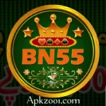 BN55
